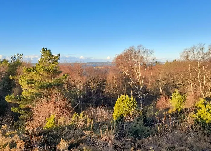 4 Bedroom Stunning In Auklandshamn Hébergement de vacances *